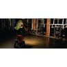 Linterna para construcción LED SL 6-22