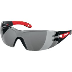 Gafas de seguridad PP EY-GU G HC/AF gris