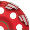 Vaso diamantado abrasivo SPX (para DG/DGH 150)